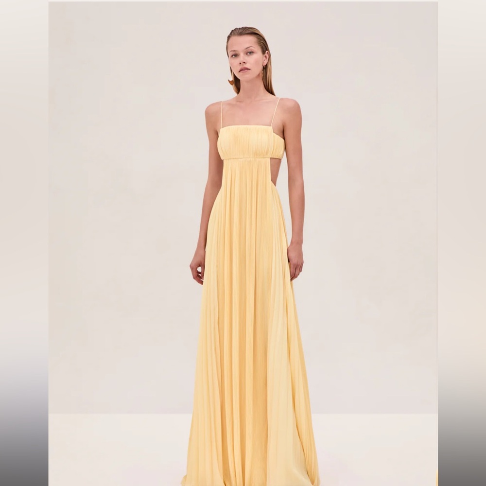 Alexis Varranza Dress